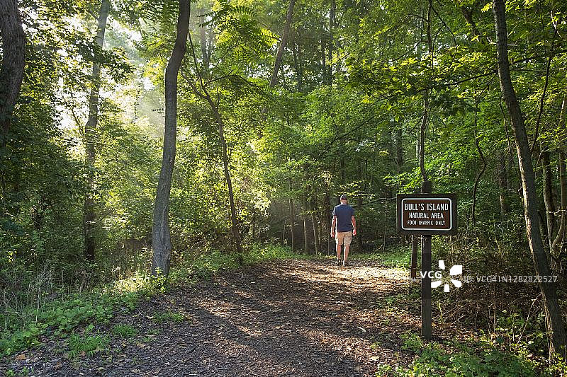 拉里坦运河州立公园的牛岛，新泽西州图片素材
