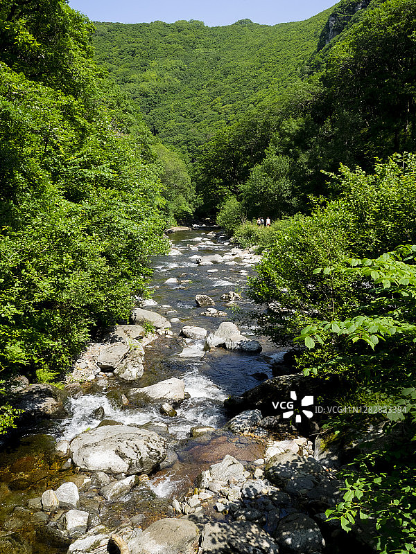 英国德文郡沃特斯米特和林茅斯之间林木山谷中的东林河图片素材