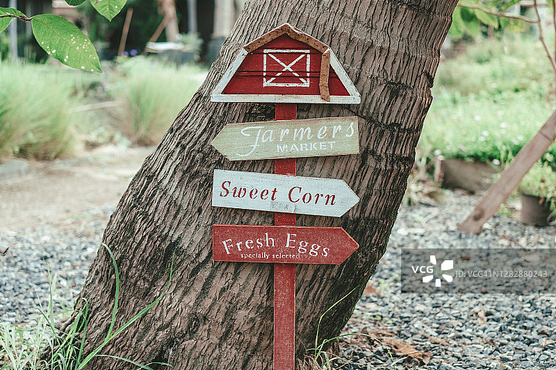 彩色方向指示牌木柱特写图片素材