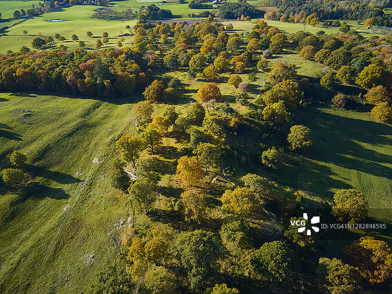 秋色的山丘图片素材