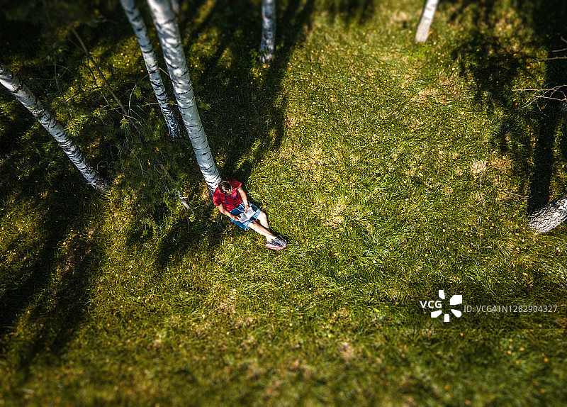 在宁静的白桦林中阅读书籍图片素材