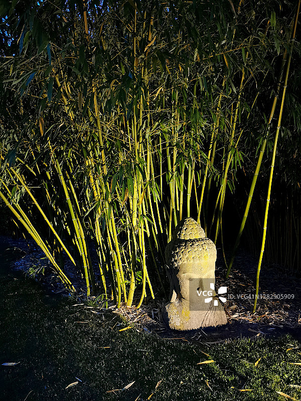 花园里被照亮的竹子和石头佛像图片素材