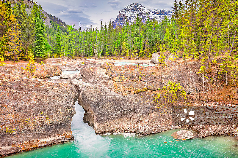 幽鹤国家公园踢马河上的天然桥（加拿大）图片素材