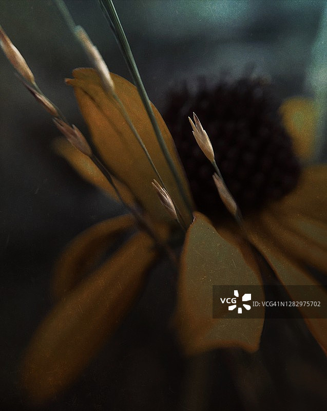 秋季氛围图片素材