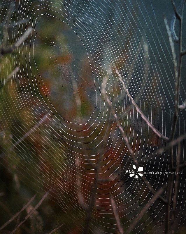 秋季氛围图片素材