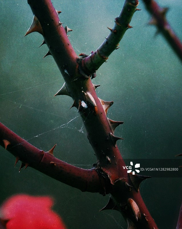 秋季氛围图片素材