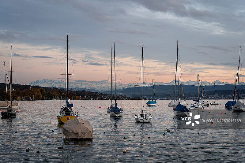 瑞士苏黎世湖与阿尔卑斯山的日落图片素材