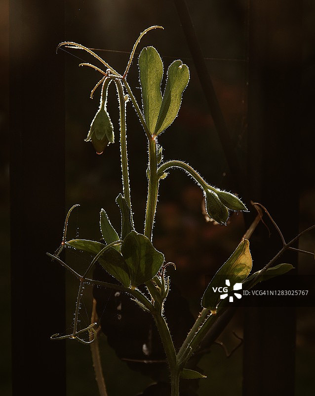 秋季氛围图片素材