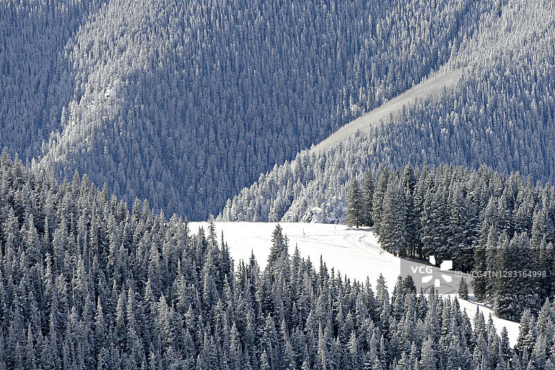 冬天的风景图片素材