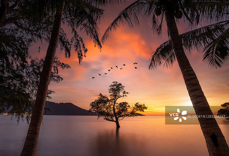 泰国桐艾府象岛美丽的傍晚海景图片素材