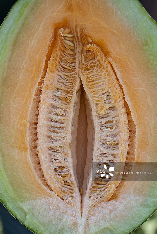 甜瓜切片特写图片素材