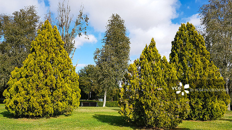 阳光明媚的秋日里，公共城市公园内的树木和草地，天空飘着白云图片素材