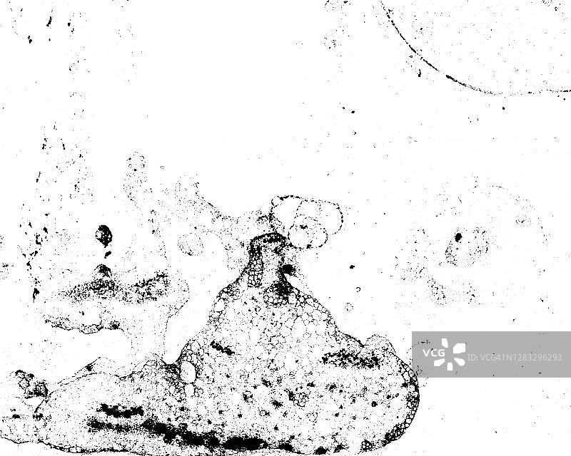 复古纹理矢量素材图片素材