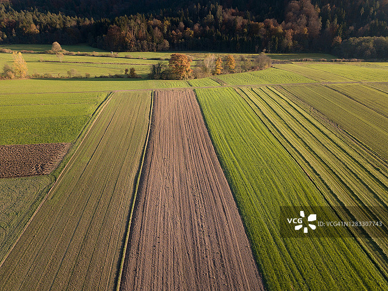 从上方看到的耕地和牧场图片素材