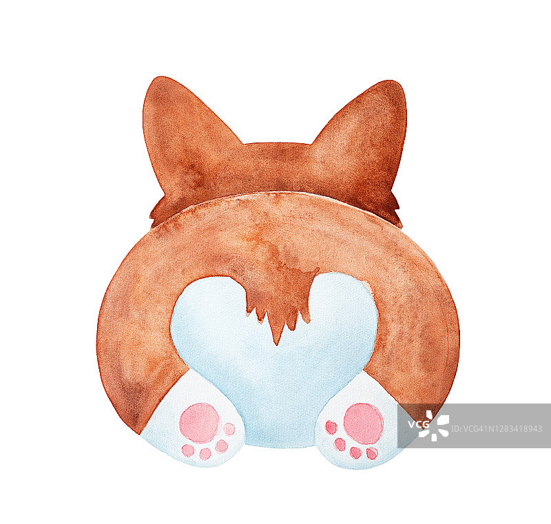 水彩威尔士柯基犬屁股插画，手绘水彩图形，创意设计元素，适用于贺卡、印刷、banner、邀请函图片素材