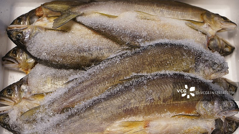 盐渍淡水鳟鱼，香鱼图片素材