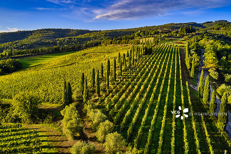 秋季的意大利托斯卡纳基安蒂葡萄酒产区图片素材