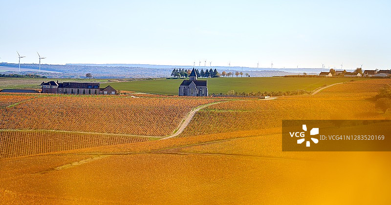 葡萄园中的教堂图片素材