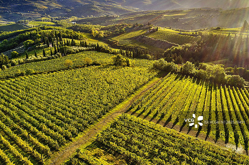 秋季的意大利托斯卡纳基安蒂葡萄酒产区图片素材