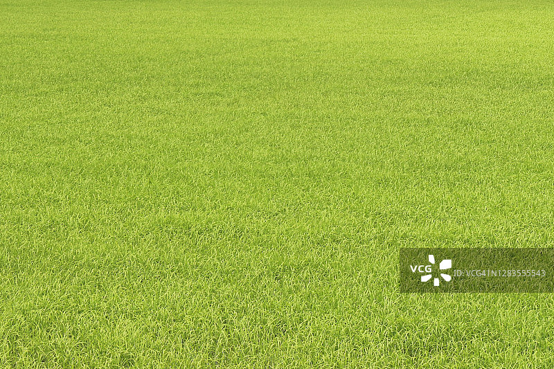 绿色纹理壁纸背景图片素材