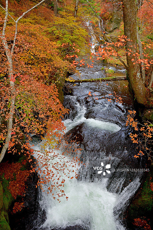 日光国立公园奥日光地区的龙首瀑布图片素材