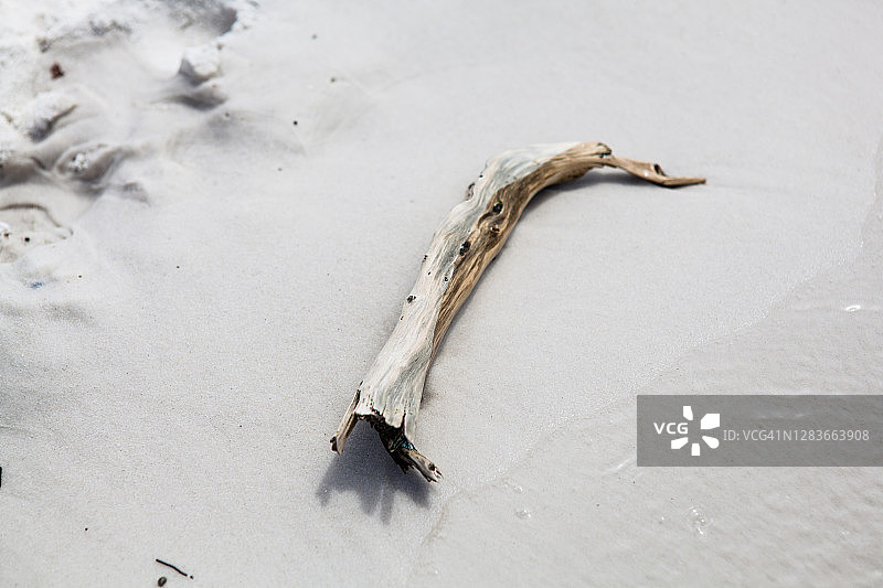白色沙滩上的浮木图片素材