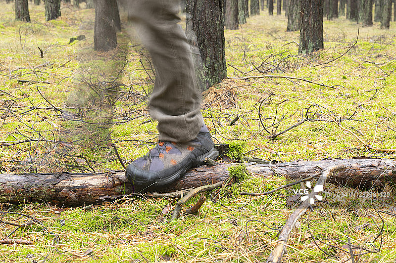 森林中行走的人踩在倒下的松树干上的腿部特写，神秘的德国图片素材