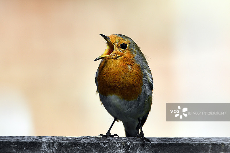 歌唱吧，全世界与你同唱图片素材