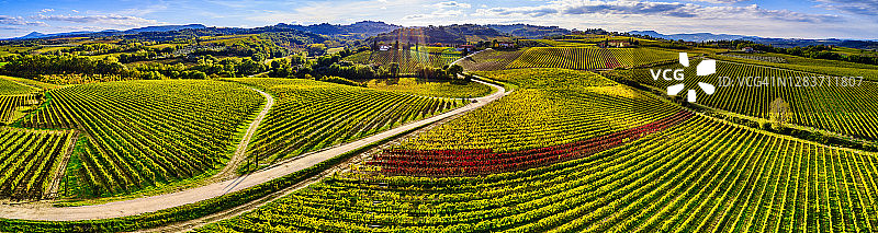 意大利托斯卡纳蒙特普尔恰诺乡村的葡萄园图片素材