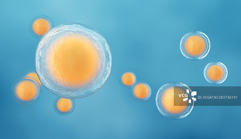 人体细胞图片素材