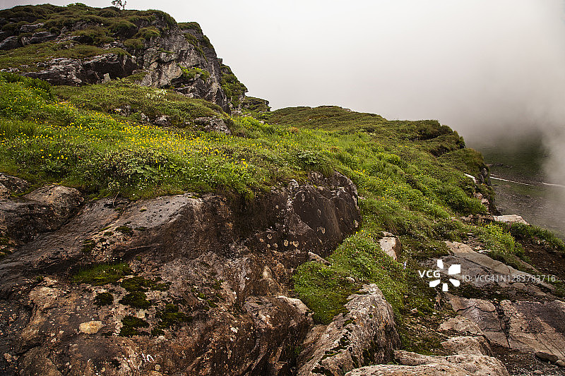 喜马拉雅山脉鲜花谷通往锡克教圣地罕库德·萨希布朝圣之路上盛开的蓝罂粟和高山毛茛图片素材