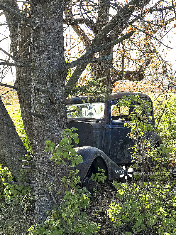 树木环绕的废弃老爷车图片素材
