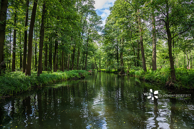 勃兰登堡施普雷瓦尔德森林木桥河景图片素材
