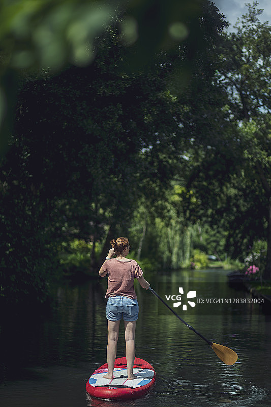 在桨板上漂浮于森林中的年轻女人，德国勃兰登堡州吕贝瑙图片素材
