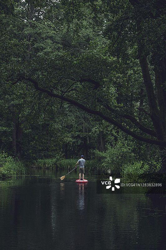 在森林中划桨板的年轻人，德国勃兰登堡州图片素材