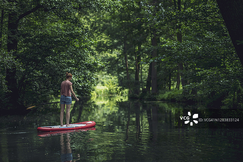 在桨板上漂浮于森林中的年轻女人，德国勃兰登堡州吕贝瑙图片素材