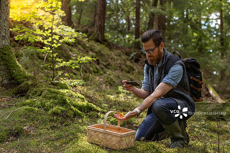 采蘑菇图片素材