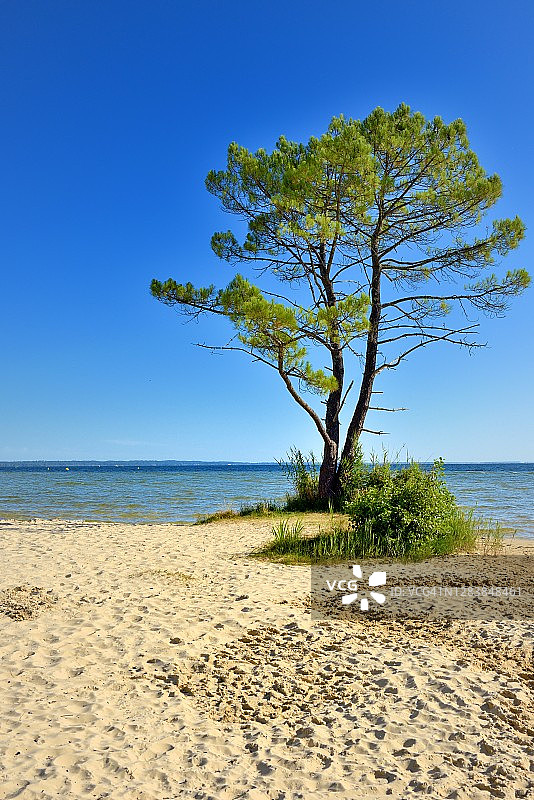 比斯卡罗斯湖图片素材