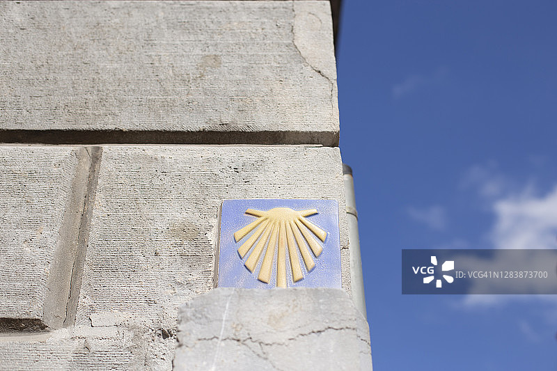 扇贝壳图片素材