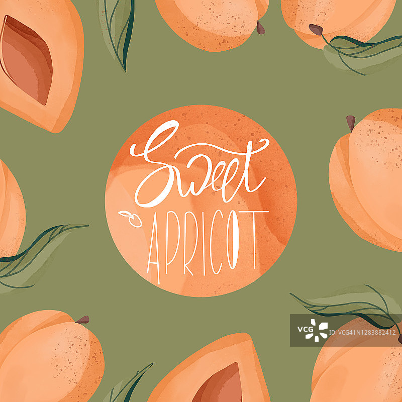 淡雅的甜杏图片素材