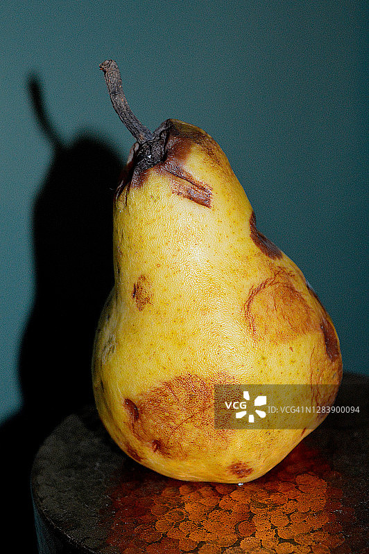 腐烂的梨图片素材
