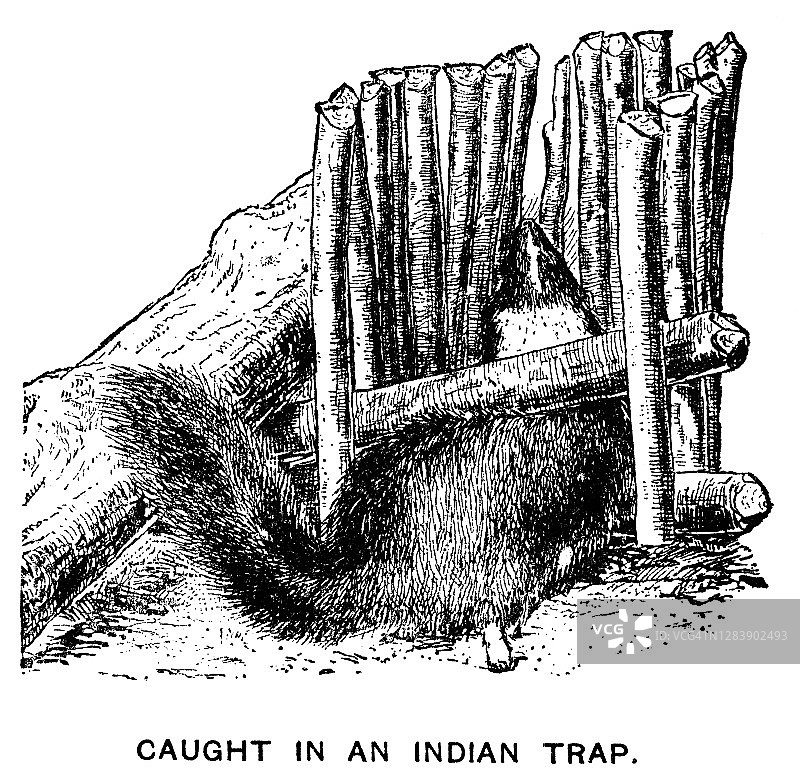 印度陷阱捕获动物古老雕刻插图图片素材