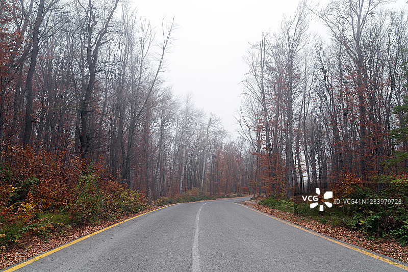秋季雾中山林中的蜿蜒道路图片素材