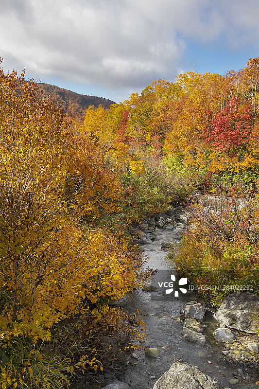 日本青森县地狱沼的秋叶图片素材