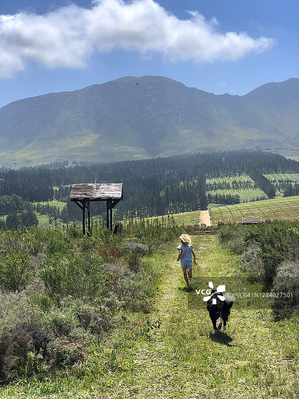 自由奔跑图片素材