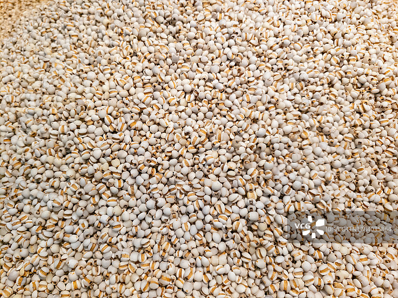 超市里卖的薏苡仁籽图片素材