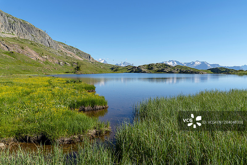 阳光明媚的湖泊风光图片素材