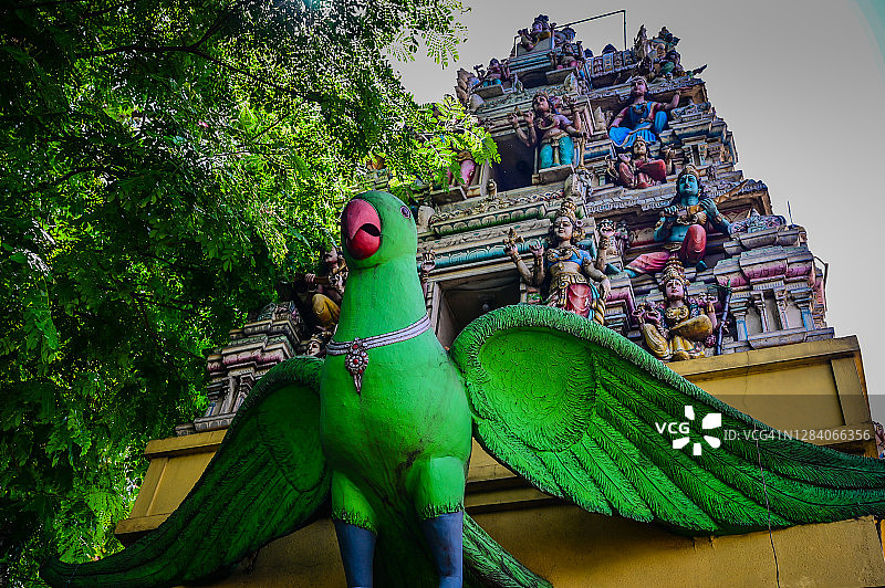 印度班加罗尔的绿色鹦鹉印度教寺庙图片素材