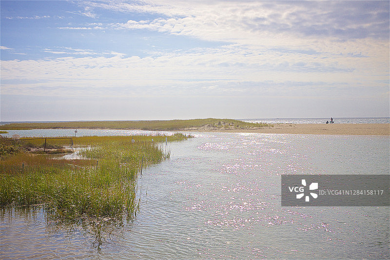查塔姆里奇维尔海滩附近的沼泽图片素材