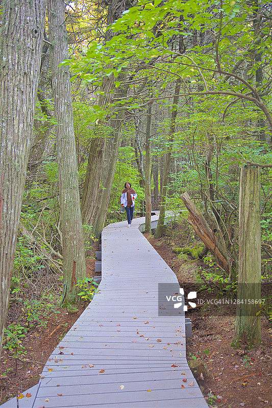 在木板路上的女人，大西洋白雪松沼泽小径，韦尔夫利特图片素材
